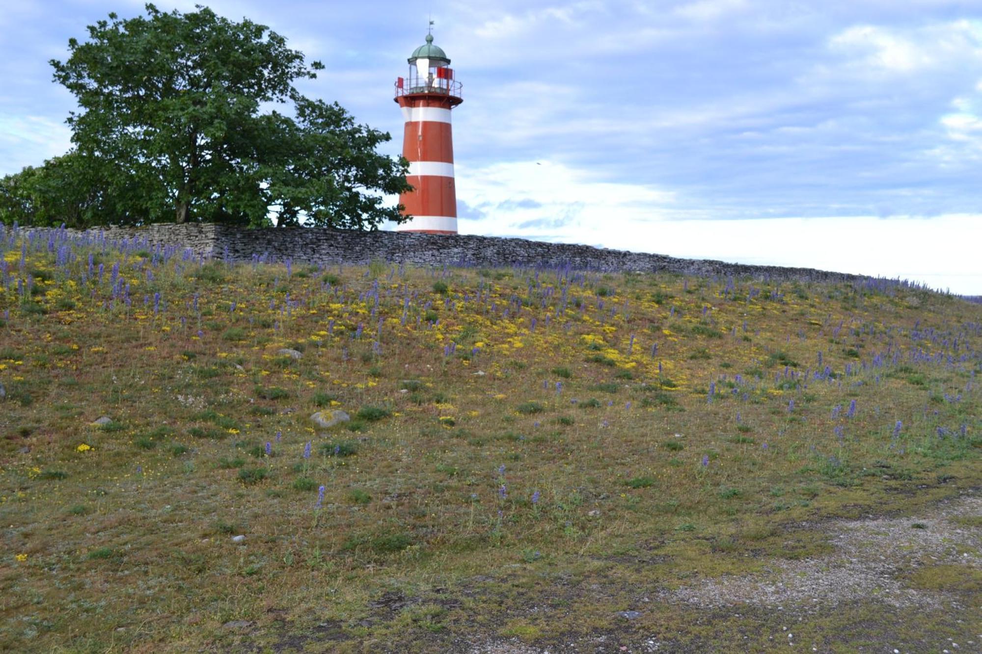 Gangvidefarm Villa Stånga Eksteriør bilde