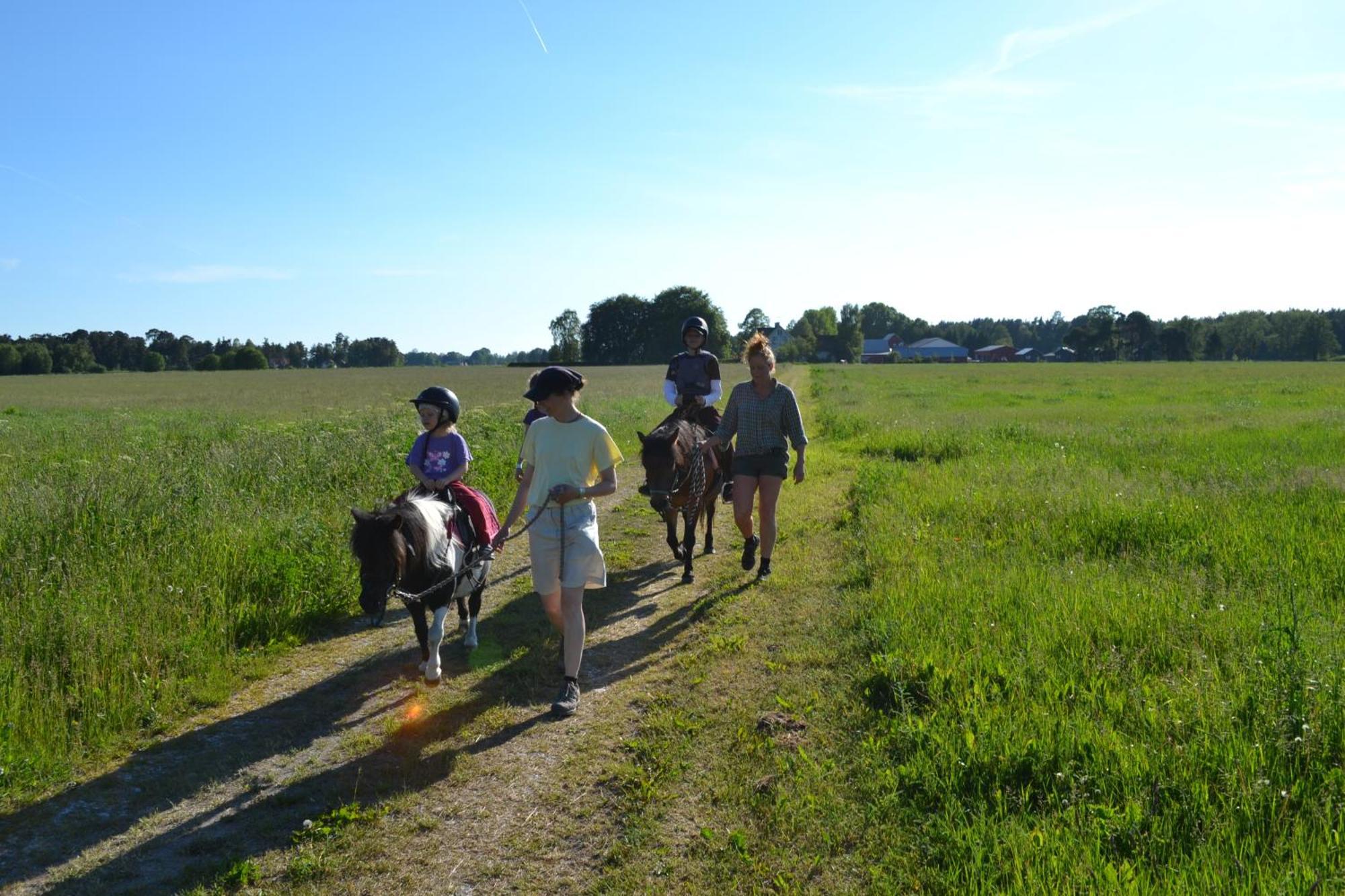 Gangvidefarm Villa Stånga Eksteriør bilde